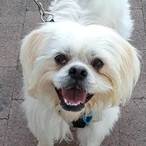 Meet your Posher, Lesley